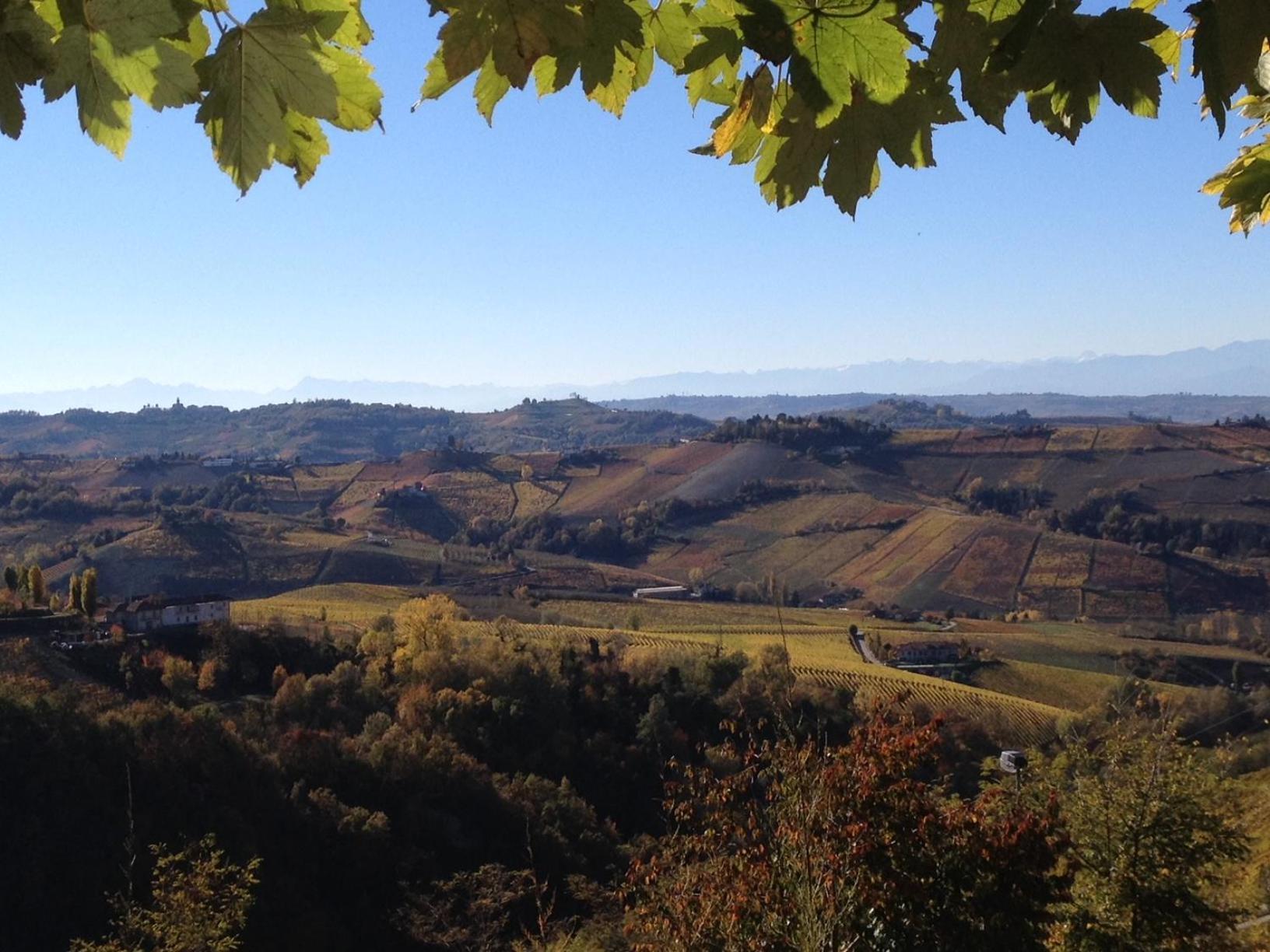 Viasavona46 Nel Cuore Delle Langhe Treiso Eksteriør billede